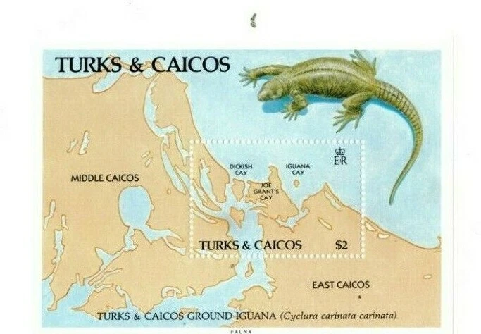 Islas Turcas y Caicos - 1986 - Iguana de vida silvestre - Hoja de recuerdo - MNH (Scott #714)  Foto 1 de 1