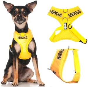 NERVOUS Yellow Non Pull Waterproof Padded Pet Dog Vest Harness or 4 6 Foot Lead - Picture 1 of 12