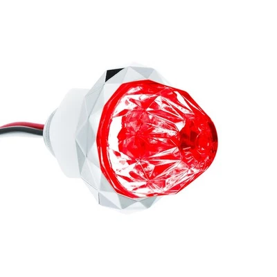 Mini lente transparente LED roja con luz LED de sandía cristal de doble función Foto 1 de 4