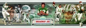Joe Namath New York Jets Photoramic #1047 - Picture 1 of 5