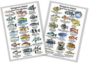 Reef Fish Identification Card – Kangaroo Island - Picture 1 of 1
