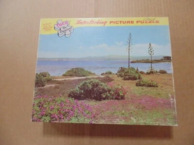 Vintage TUCO "Pacific Coast Near Monterey California" Puzzle - COMPLETE - Image 1 of 4