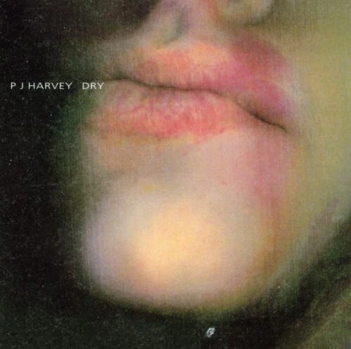 Dry by Harvey, Pj (CD, 2001) - Imagem 1 de 1