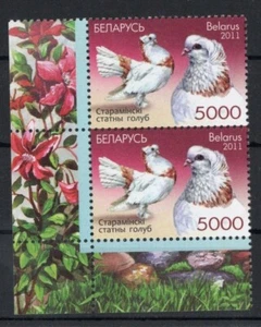 Weißrussland 2011 Tauben ein kompletter Satz Doppelecken postfrisch Vögel Fauna HOHER WERT - Bild 1 von 3