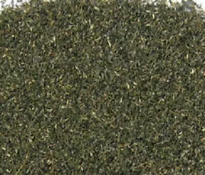 Catnip Leaf & Plant Ultra Fine Cut (Premium) 1 oz WOW Fresh! - Picture 1 of 2