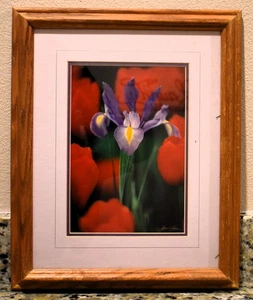 Very Nice Framed Iris Picture - Picture 1 of 4