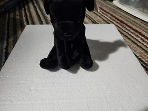 RARE ty Beanie Babies Luke with Tag Errors GREAT CONDITION - Picture 1 of 7