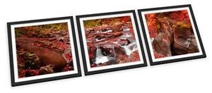 Red Countryside River Forest FRAMED ART PRINTS SET Picture Poster Square - Picture 1 of 5