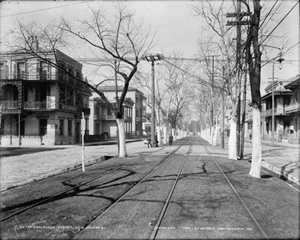Esplanade Street in New Orleans Photograph - Vintage Photo from 1900 - Bild 1 von 1