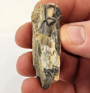 Agatized Petrified Wood Piece - Oregon - Miocene (?) - Fossil - Picture 1 of 6