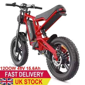 Hidoes B6 20" Fat Tyre E-Bike Mountain Electric Bike 120OWatts 15.6Ah Battery - Picture 1 of 24
