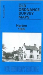 Harton 1895 or 1913  Tyneside Sheet 16 - Picture 1 of 2