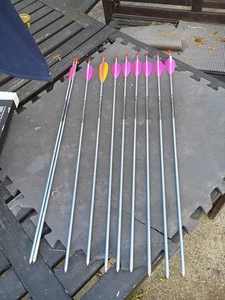 26 Inch Easton XX75 Platinum 1716 Arrows - Picture 1 of 4