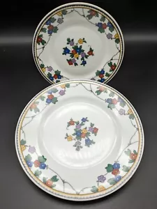 Antique 1918 Victoria China Czechoslovakia Lunch + Bread & Butter Flower Plates - Picture 1 of 18