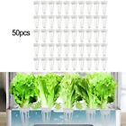 Easy To Transplant Grow Baskets Gardening Accessories 50pc Environmentally