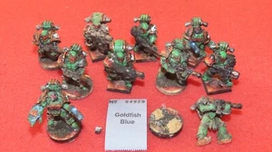 Games Workshop Warhammer 40k Salamander Tactical Marines bemalt Horus Heresy - Bild 1 von 17
