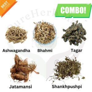 Ayurvedische Ruhe- & Schlafkräuter | Ashwagandha, Brahmi, Tagar, Jatamansi Mischung - Bild 1 von 7