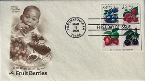 Artcraft 3297A Fruit Berries Booklet Booklet Pasted on Back  - Picture 1 of 2