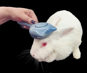Pet Dog Cat Rabbit Brush Grooming Self Cleaning Slicker 1 Brush & 1 Hair Comb - Picture 1 of 12
