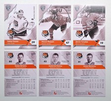 2018-19 Sereal Premium KHL Amur Khabarovsk "B/W" Base Pick a Player Card