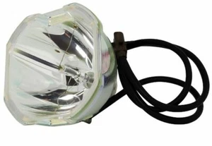 GENUINE ORIGINAL OEM USHIO NSHA315MA BULB FOR MANY PROJECTORS 2HU - Bild 1 von 1