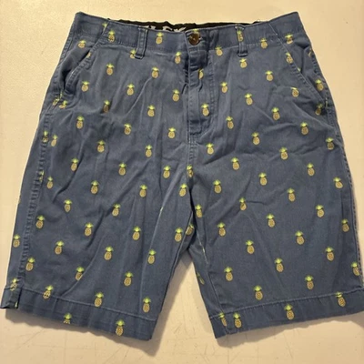 Plugg Flex Shorts Men’s Size 32 Blue Pineapple Print 9” Inseam - Image 1 of 4