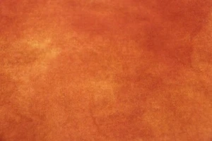 Bittersweet HAND DYED RUG HOOKING WOOL over 1/8 yard orange red Spotted Cur - Picture 1 of 1