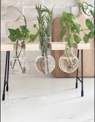 Estación de Propagación, Jarrón de Propagación, Jarrón de Plantas, Gran Regalo Foto 1 de 4