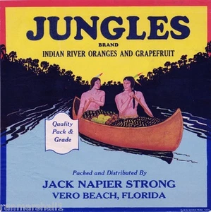Vero Beach Florida Jungles Orange Citrus Fruit Crate Label Art Print - Picture 1 of 1