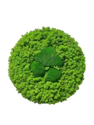 Moosbild Mooswand Moospanel Moosbild ,,Mossario" - Bild 1 von 2