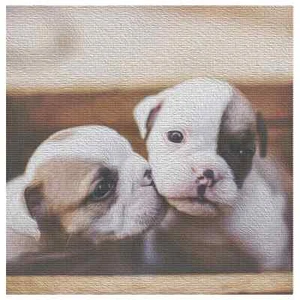 PERFEKTES GESCHENK für Erwachsene UND Kinder 5D zum Selbermachen Diamantmalerei Vollbohrer Kristall Hunde - Bild 1 von 7