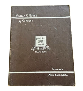 1948 William C Moore Fruit Bearing Trees & Plants Catalog Illustrated Plate Book - Picture 1 of 20