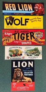 León, Tigre, Lobo, Caja de Frutas Temática Lote 3 Etiquetas Diferentes, Original - Imagen 1 de 1