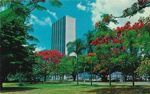 Vintage Florida Chrome Postcard Miami Biscayne Boulevard Poinciana Trees - Picture 1 of 2