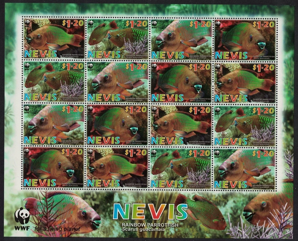 Hoja de 4 juegos de pez loro arco iris Nevis WWF 2007 MNH SG#2015-2018 Foto 1 de 1