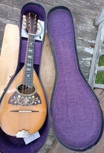1919 Antique Mandolin by VEGA CO. Boston Bowl Back new set up - Picture 1 of 17