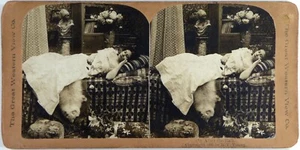 Usa.Etats-Unis.After the Ball.Après Bal.Photo Stereo Great Western View Co.Young - Picture 1 of 2