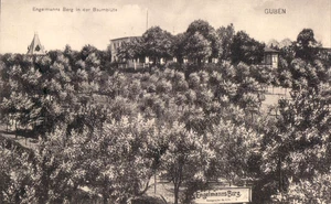 AK GUBEN Engelmanns Berg in der Baumblüte 1912 - Picture 1 of 1