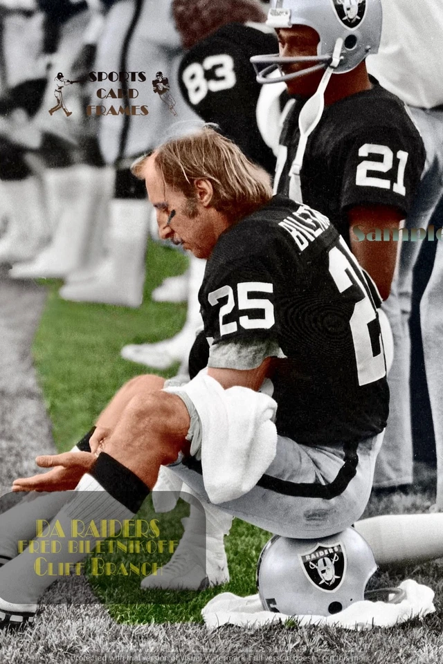 Fred Biletnikoff & Cliff Branch IMPRESIÓN RARA/DE NEGATIVO (viene en 4 tallas) C Foto 1 de 1