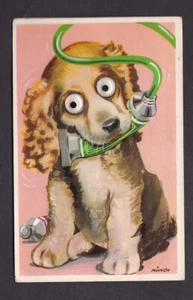 Neuheit Hund - bewegliche Augen von Munch um 1950/60er Jahre PPC - Bild 1 von 2
