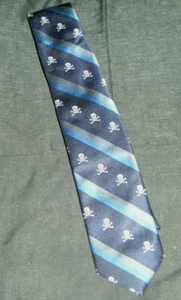 BLUE STRIPED SKULL & CROSSBONES TIE Old Navy Size Small 100% Polyester  - Picture 1 of 3