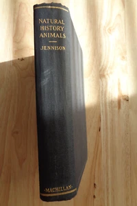 Natural History Animals by George Jennison 1927 HC - Picture 1 of 1