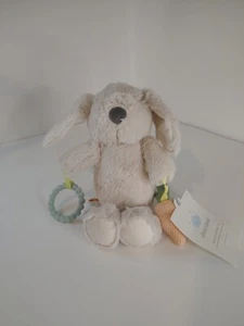NEW NWT Cloud Island Bunny Interactive Plush Toy Sensory Teether Carrot Cream - Picture 1 of 7