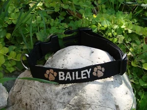 Personalized Dog Collar with Your Dogs Name Phone number and Paw Prints Design - Bild 1 von 12