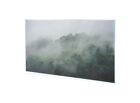 Glasbilder Wandbild Druck auf Glas Nebliger Regenwald 100x60 cm
