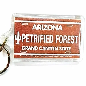 Arizona Petrified Forest Keychain Grand Canyon State Souvenir Plastic Keyring - Picture 1 of 4