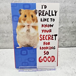 Hallmark Geburtstag Grußkarte 6x8 Hamsterrad Pop Out Laufen Humor - Bild 1 von 8