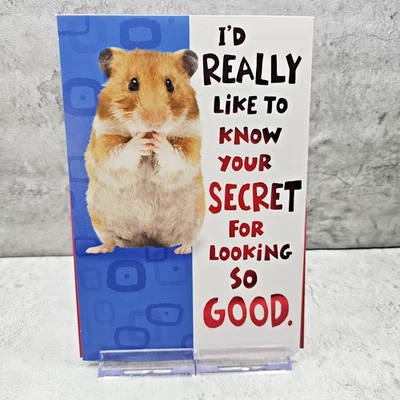 Hallmark Birthday Greeting Card 6x8 Hamster Wheel Pop Out Running Humor - Image 1 of 4