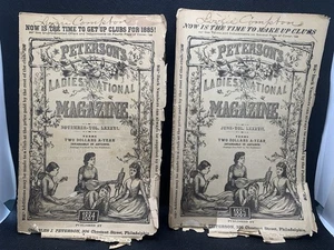 Antique Petersons Ladies National Magazine 1884 85 Lot Color Plates Advertising - Bild 1 von 24