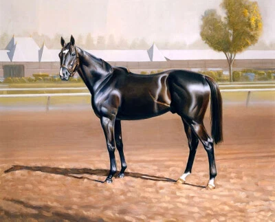 Pintura al óleo negra de carreras de caballos arte giclee impreso sobre lienzo L3657 Foto 1 de 4